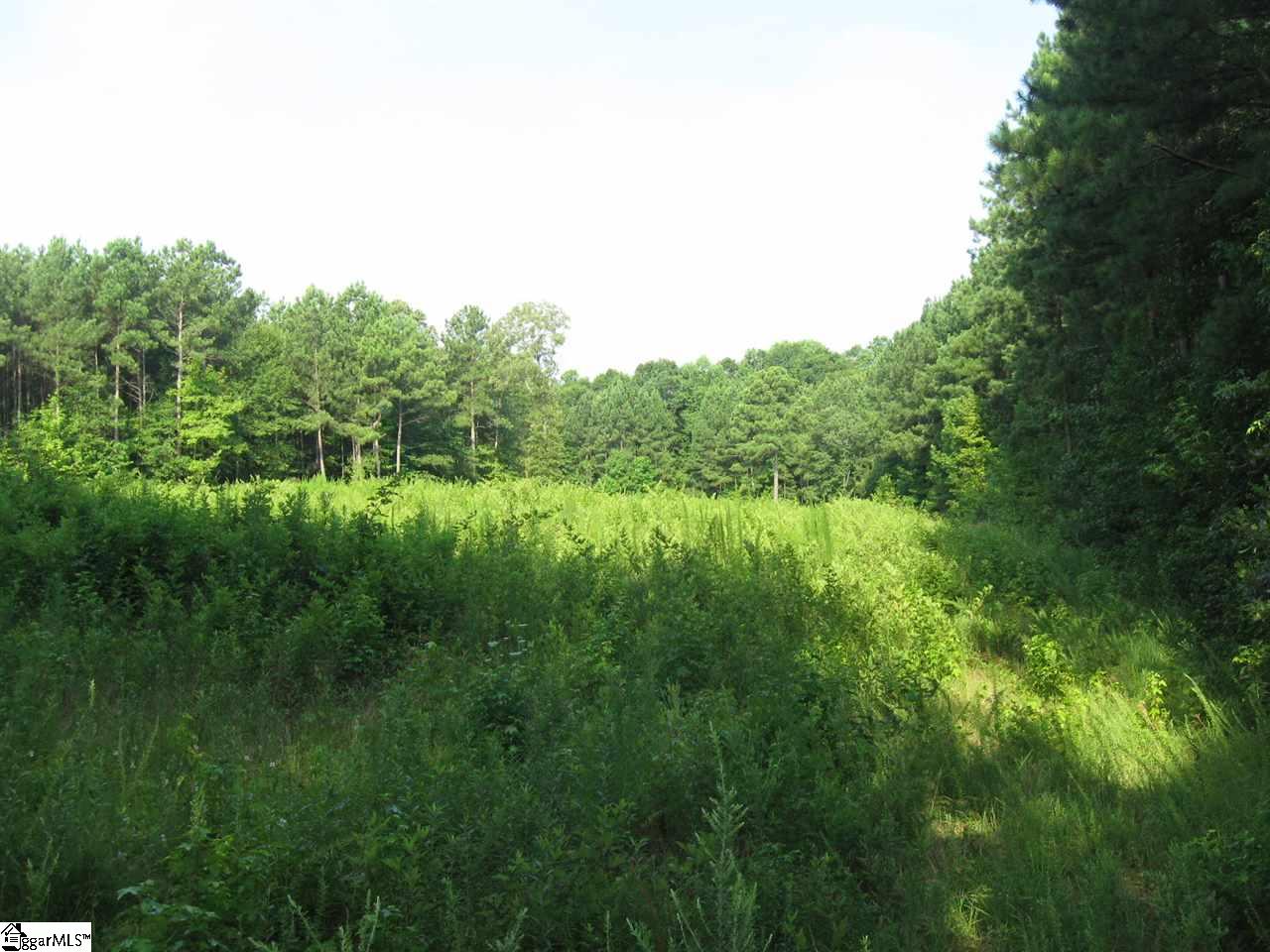 100 Martin Road Fountain Inn, SC 29644 - Photo 11 of 16