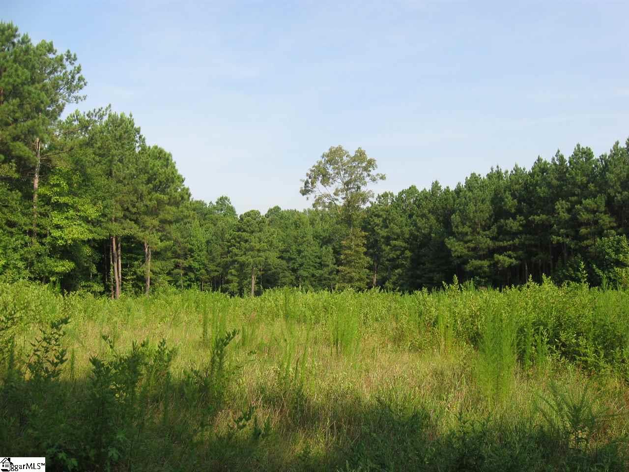 100 Martin Road Fountain Inn, SC 29644 - Photo 12 of 16