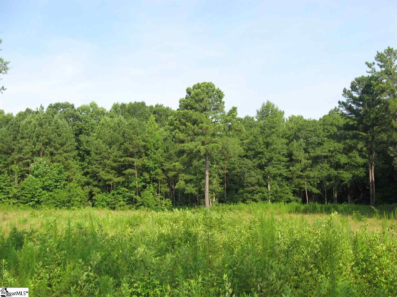 100 Martin Road Fountain Inn, SC 29644 - Photo 14 of 16