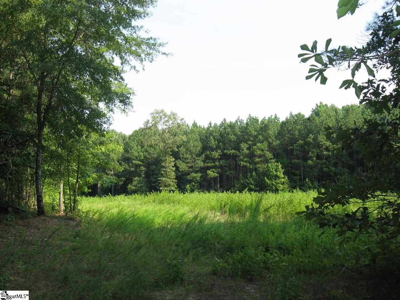 100 Martin Road Fountain Inn, SC 29644 - Photo 15 of 16