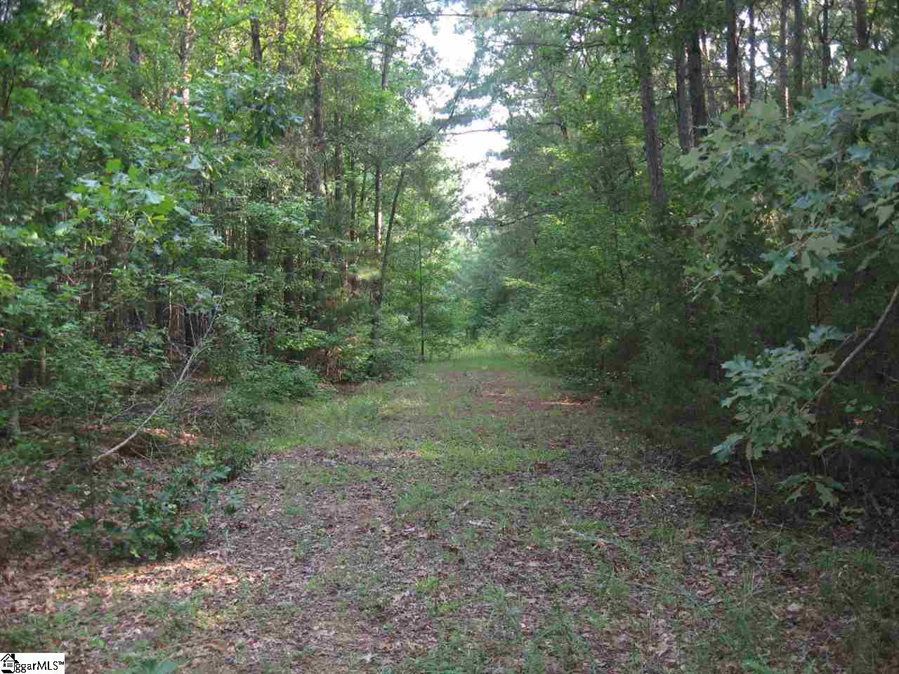 100 Martin Road Fountain Inn, SC 29644 - Photo 6 of 16