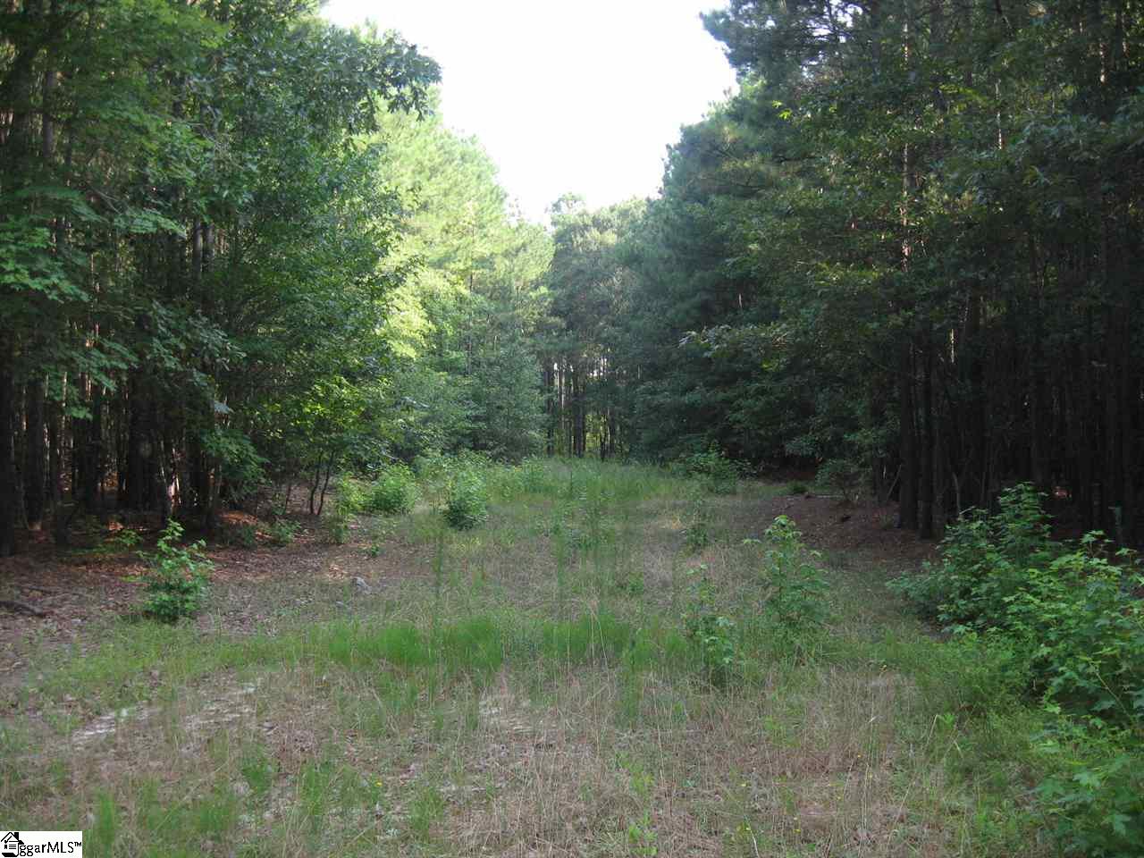 100 Martin Road Fountain Inn, SC 29644 - Photo 7 of 16
