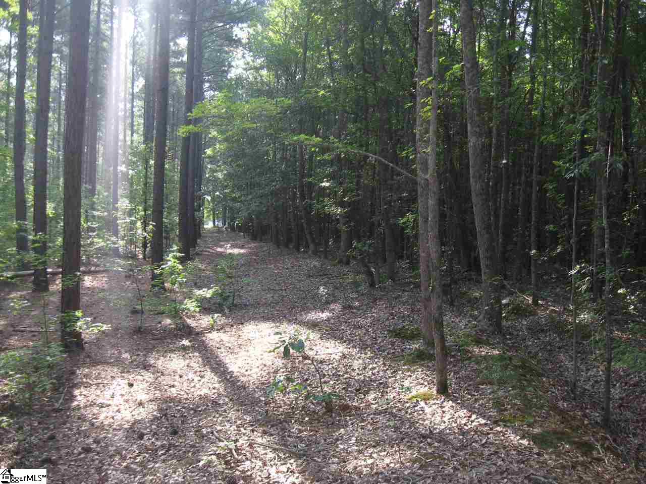 100 Martin Road Fountain Inn, SC 29644 - Photo 8 of 16