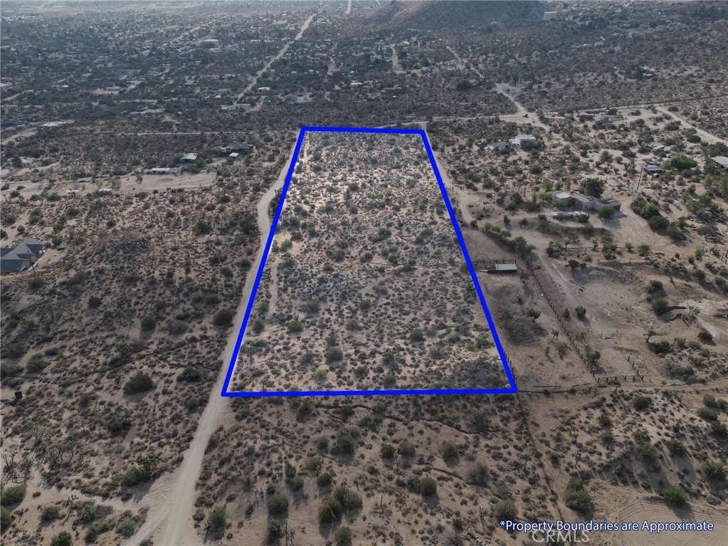 a view of a tall yard