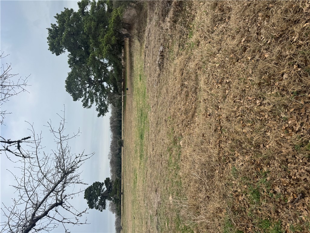 Tbd Signal Street Somerville, TX 77879 - Photo 1 of 6 a view of ocean with a large trees