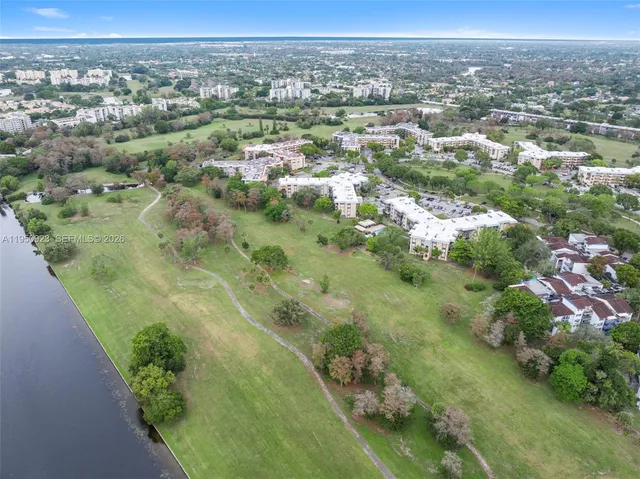 an aerial view of forest