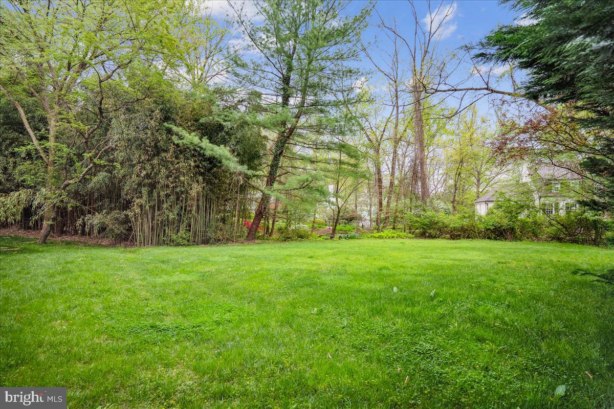 8627 Burdette Road Bethesda, MD 20817 - Photo 5 of 67 Generous yard