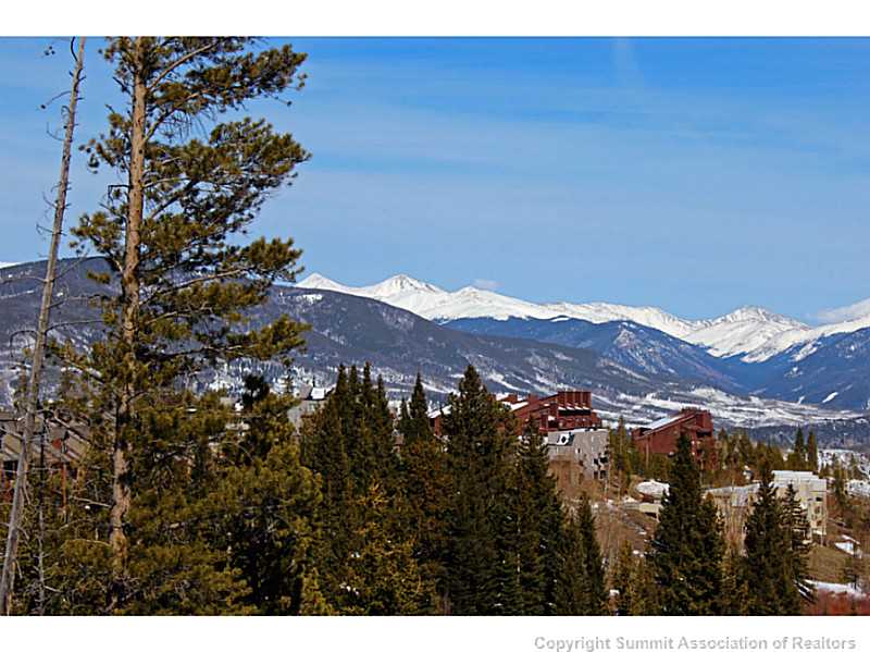 10000 Ryan Gulch Road, Unit 201G Silverthorne, CO 80498 - Photo 14 of 24 View.