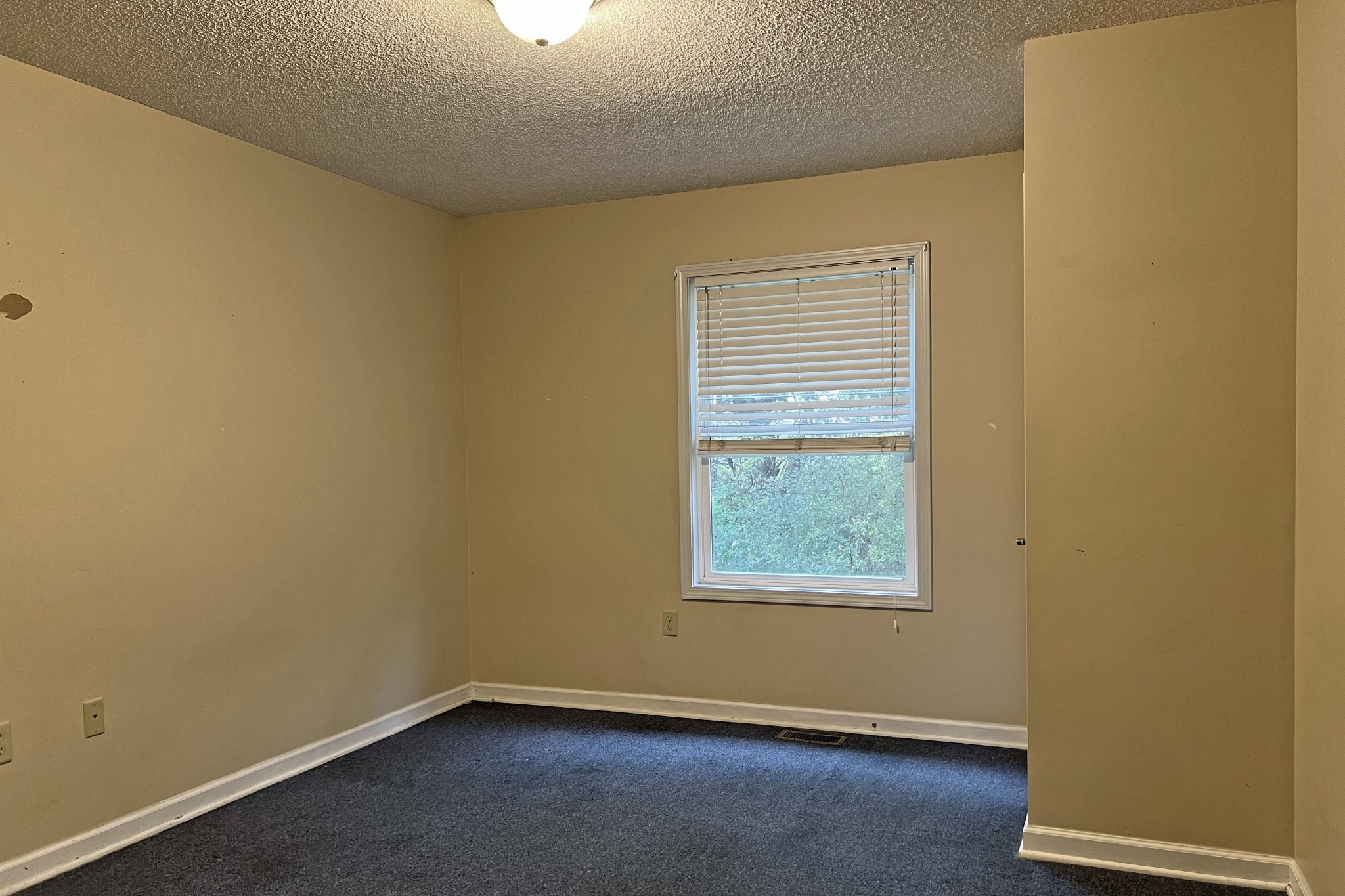1117 Brookhaven Road Franklin, KY 42134 - Photo 29 of 42 an empty room with a window