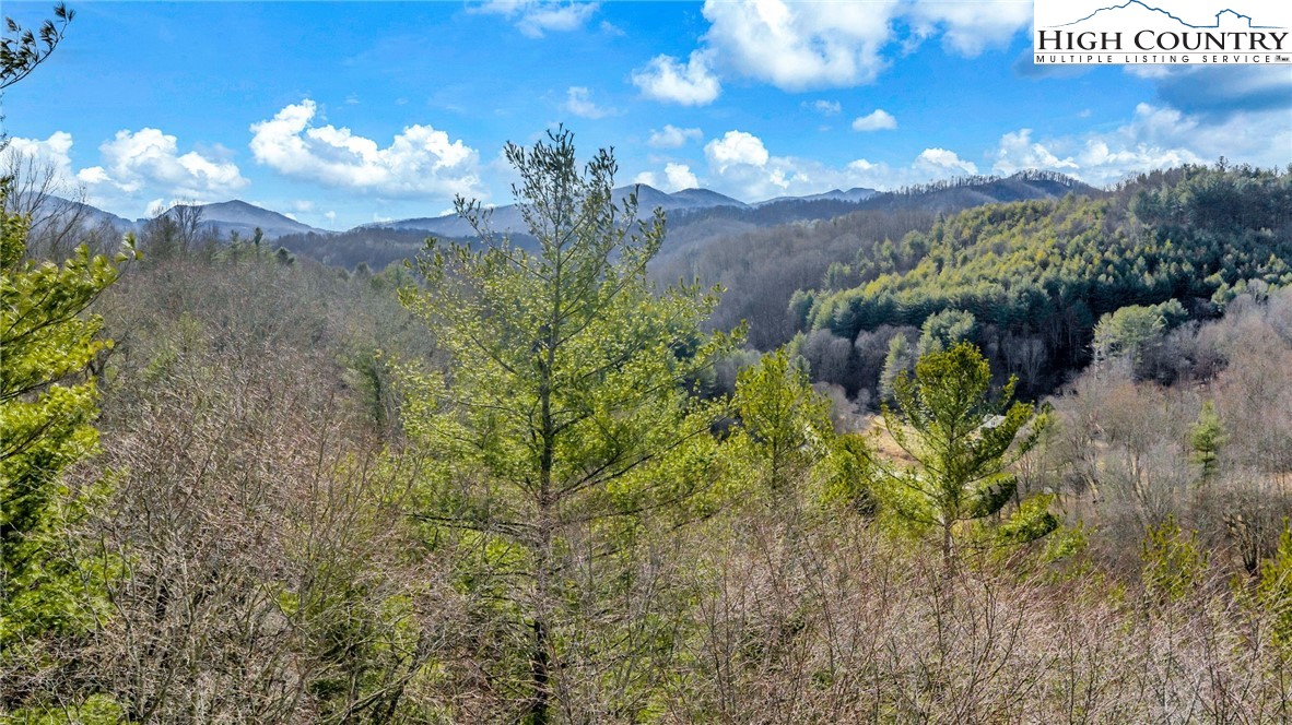 228 Don Adams Road Lansing, NC 28643 - Photo 10 of 17 Gallery Image 10