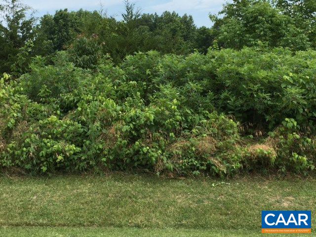 Lot 435 Decatur Lane Mineral, VA 23117 - Photo 3 of 3 Gallery Image 3