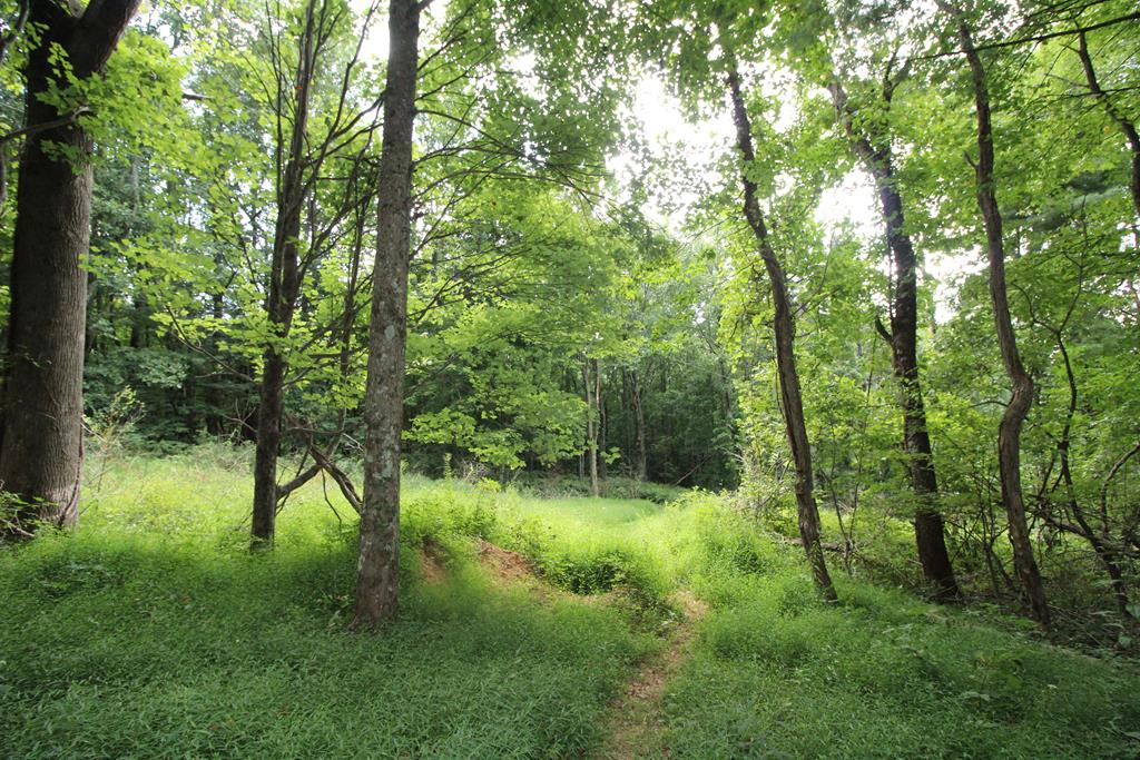 1321 Hurricane Ridge Road Meadows Of Dan, VA 24120 - Photo 43 of 73 Gallery Image 43