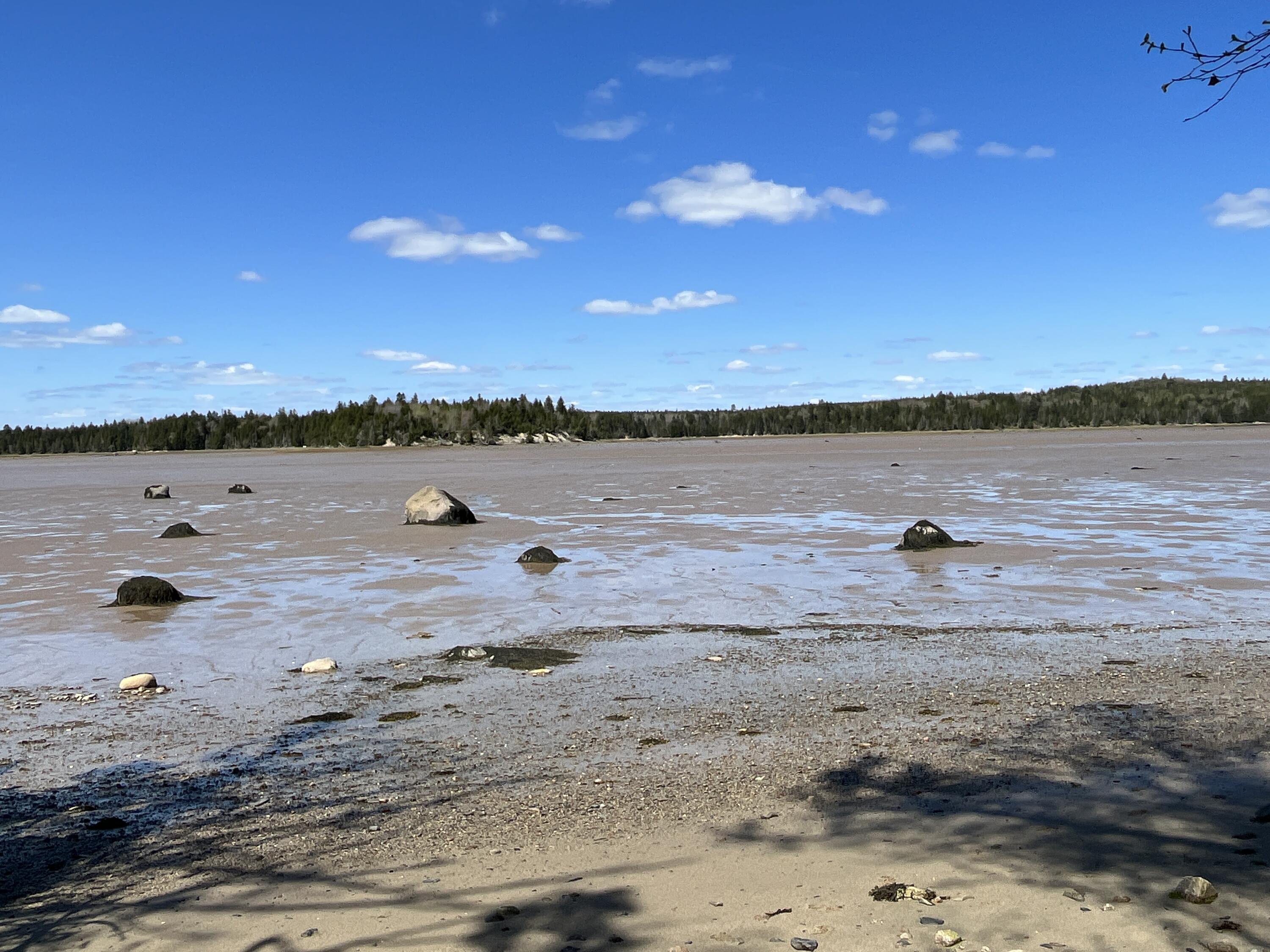 8 Blueberry Shrs Road Jonesport, ME 04649 - Photo 16 of 35 low tide