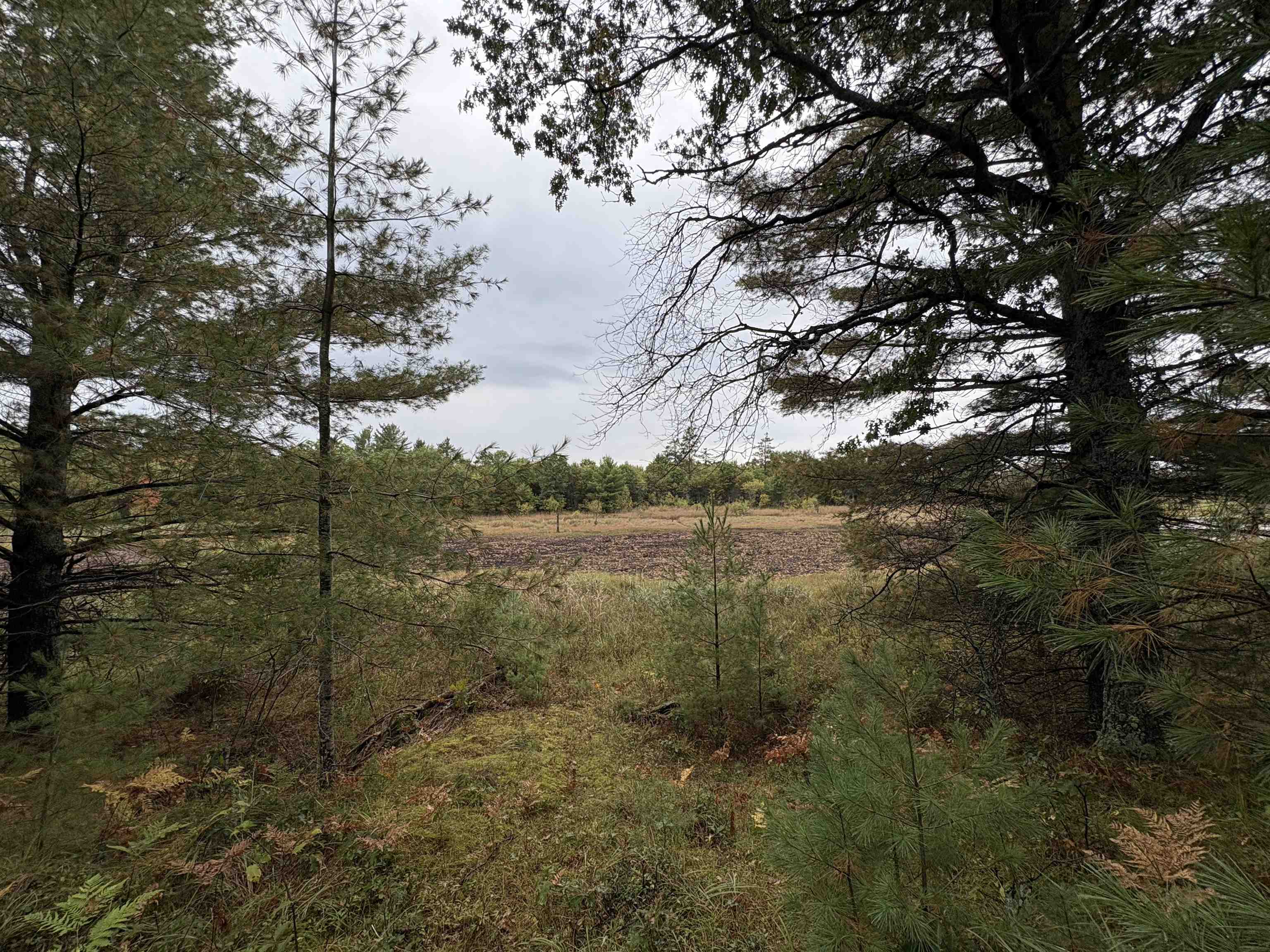 0 Hall Road Roscommon, MI 48653 - Photo 7 of 17