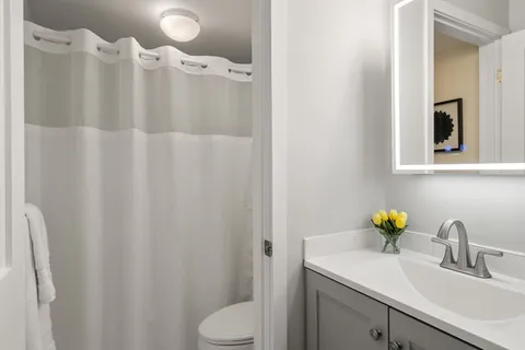 a bathroom with a sink vanity and toilet
