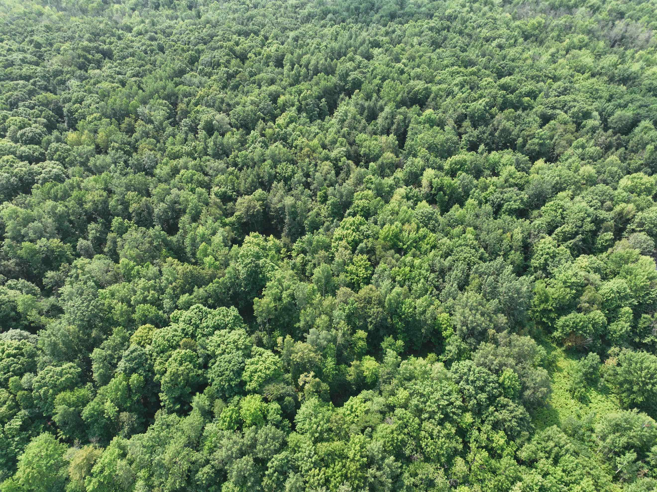 Lot 15 Burma Road Mosinee, WI 54455 - Photo 3 of 7 Gallery Image 3