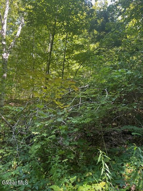 L28 Koster Way Salem, NY 12865 - Photo 5 of 17 IMG_8596