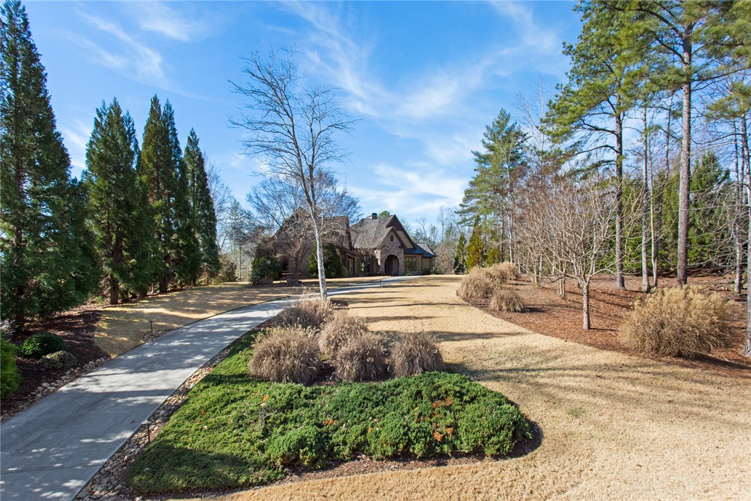 224 Palmer Way Sunset, SC 29685 - Photo 3 of 50
