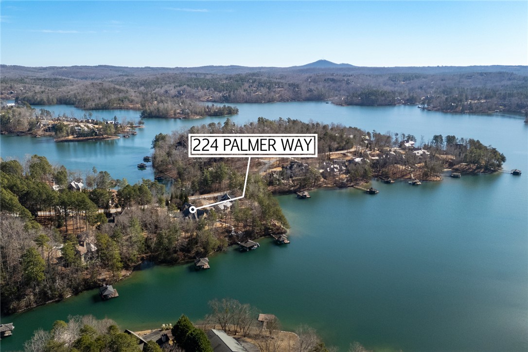 224 Palmer Way Sunset, SC 29685 - Photo 5 of 50