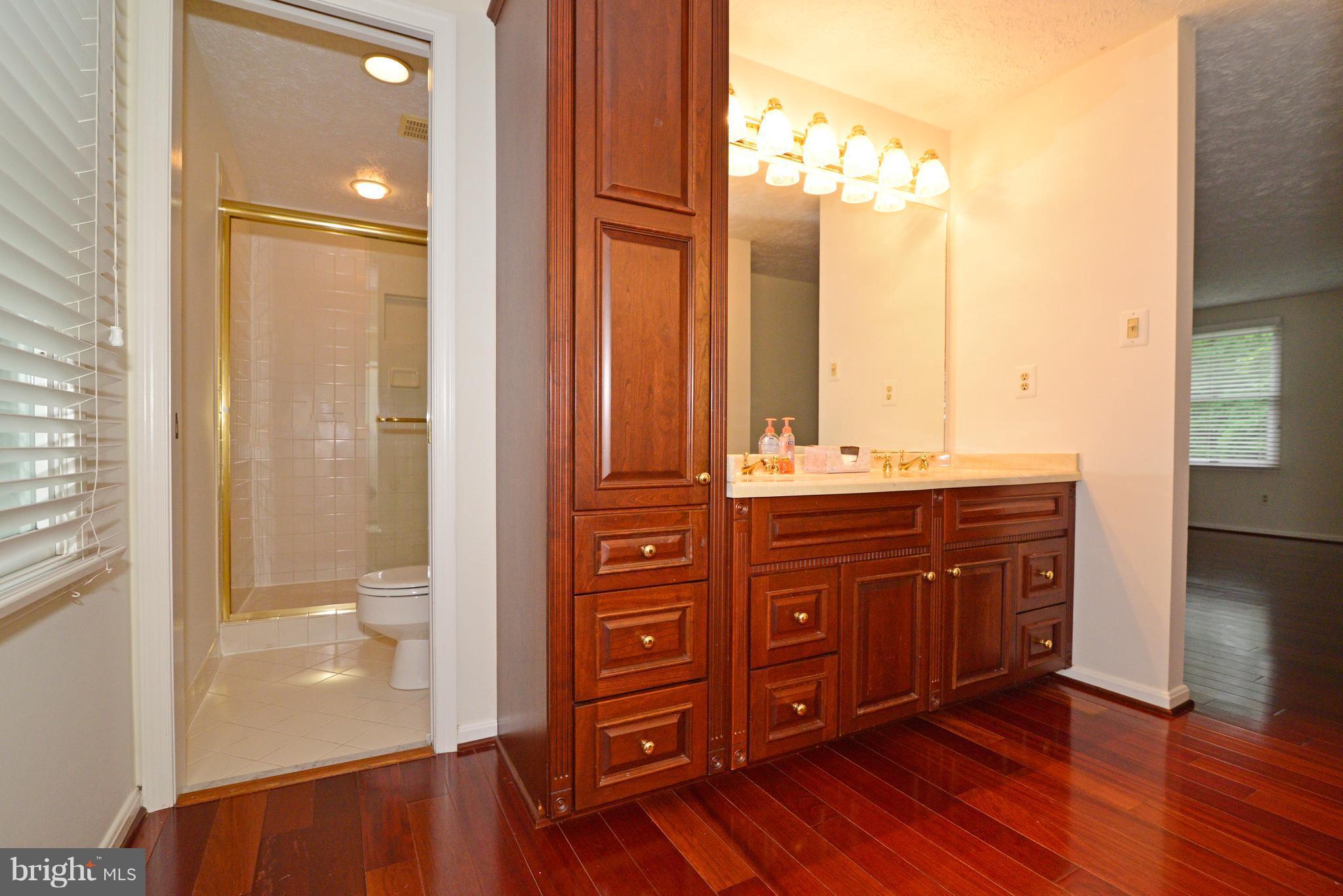 2602 Oldwick Court Reston, VA 20191 - Photo 16 of 29 Bath (Master)