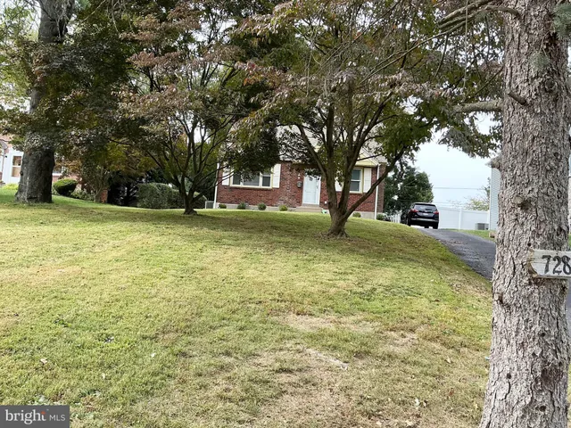 a view of a yard with a tree