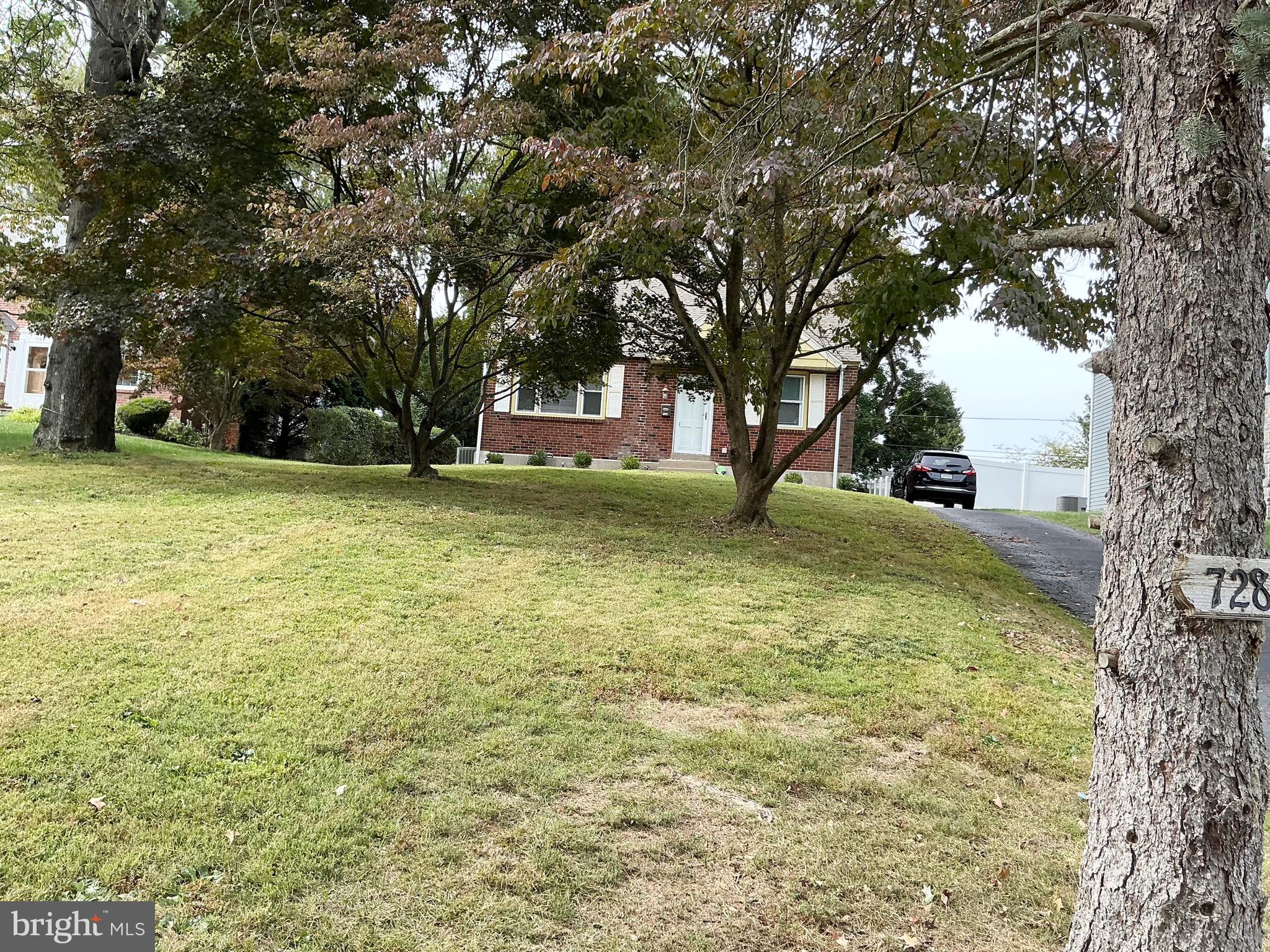 a view of a yard with a tree