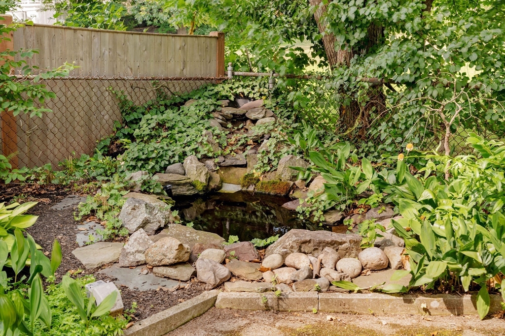 52 St Mary's Road Milton, MA 02186 - Photo 30 of 32 a bunch of flowers