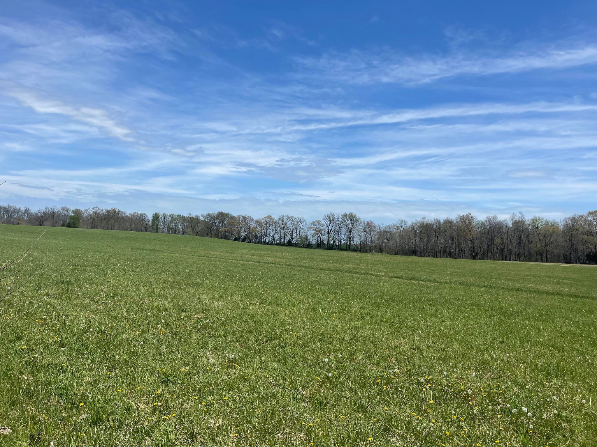 5731 Bill Anderson Road Portland, TN 37148 - Photo 1 of 3