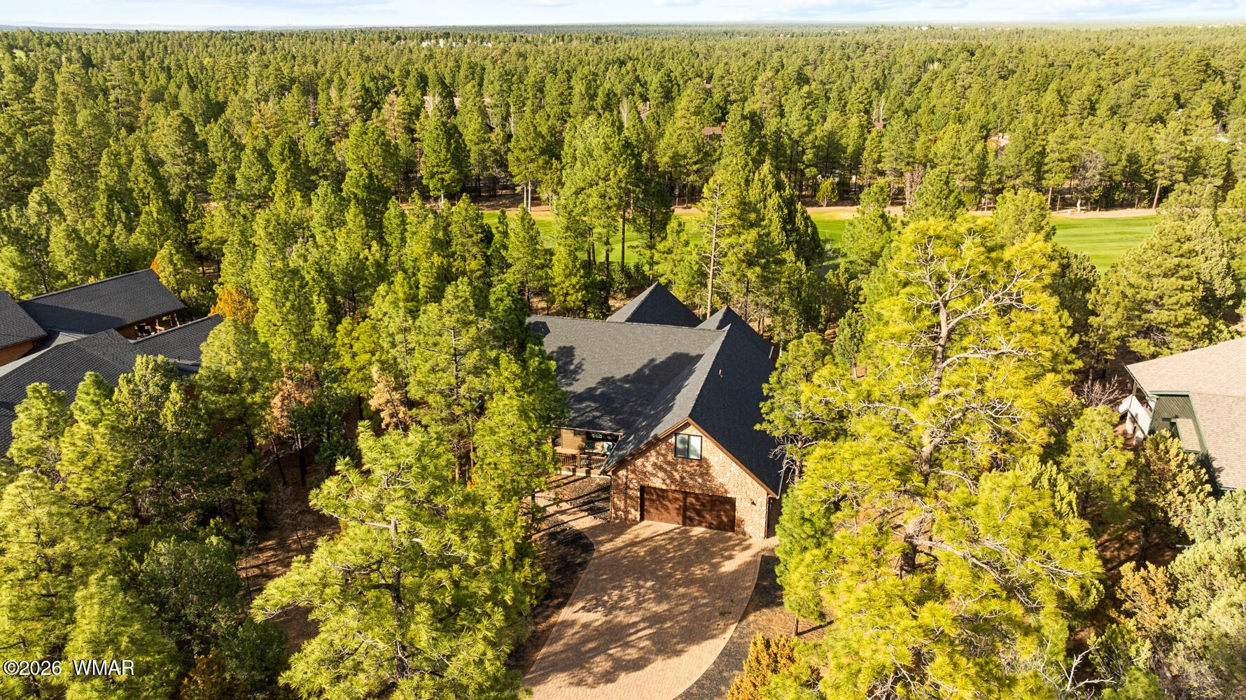 3360 West Blazingstar Road Show Low, AZ 85901 - Photo 7 of 71 Lots Of Mature Pine Trees On The Lot
