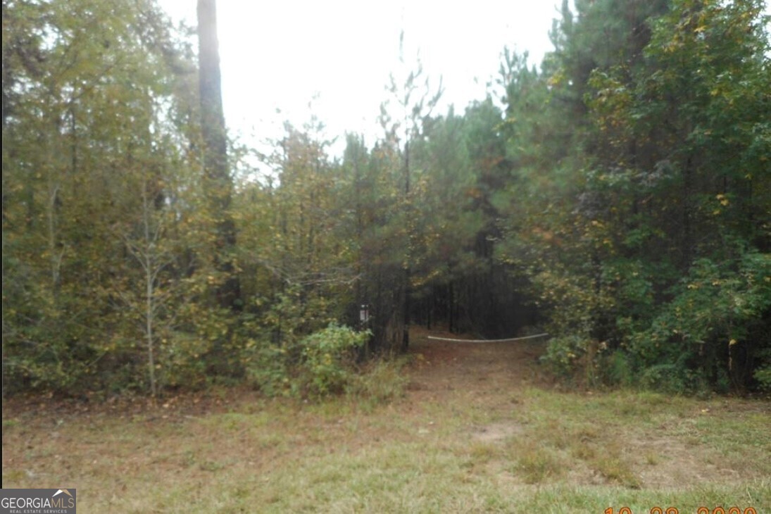 1 Grey Land Road Greensboro, GA 30642 - Photo 1 of 1 Gallery Image 1