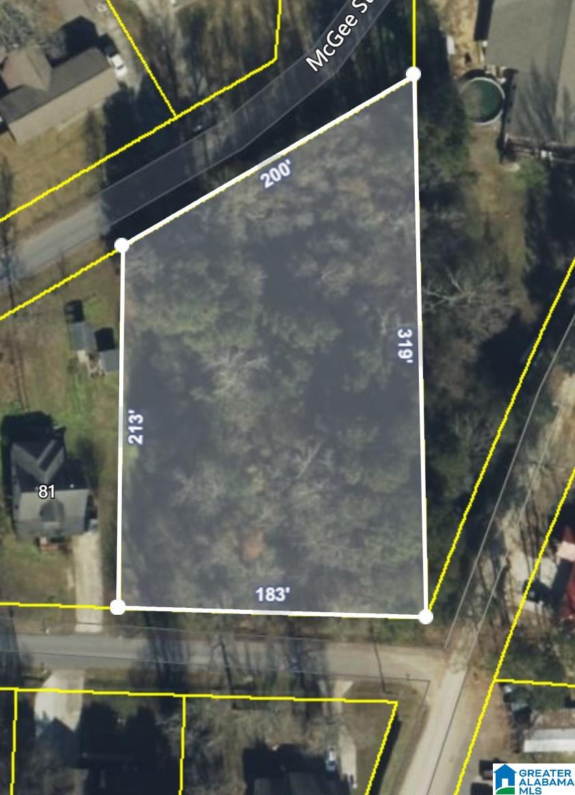 0 Pine Street Boaz, AL 35957 - Photo 6 of 6