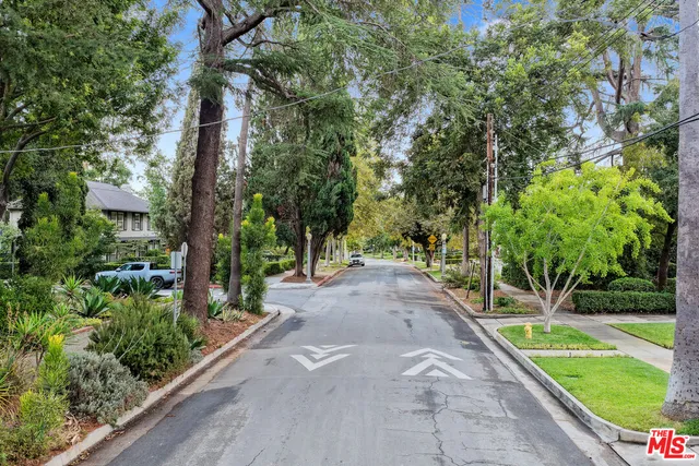 a view of a park with large trees