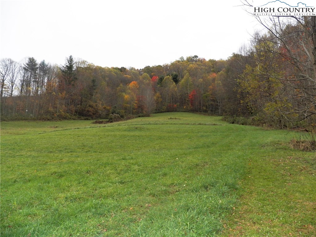 449 Cabbage Creek Road Creston, NC 28615 - Photo 2 of 24 Gallery Image 2