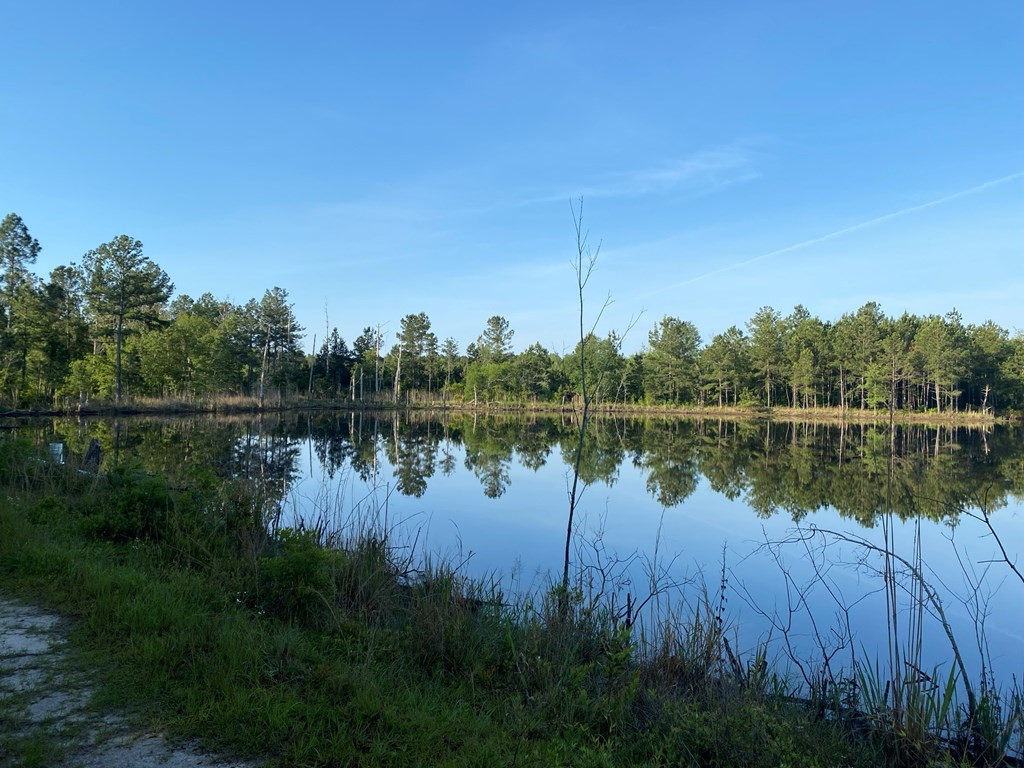Tbd Indian Trail Road Sylvania, GA 30467 - Photo 10 of 12