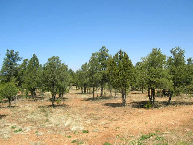 2281 Sunrise Road, Unit 360 Overgaard, AZ 85933 - Photo 1 of 6 Primary Photo