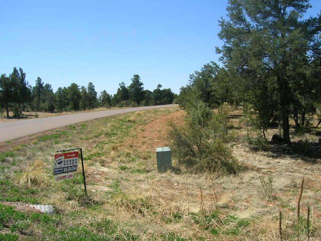 2281 Sunrise Road, Unit 360 Overgaard, AZ 85933 - Photo 2 of 6 Additional Photo
