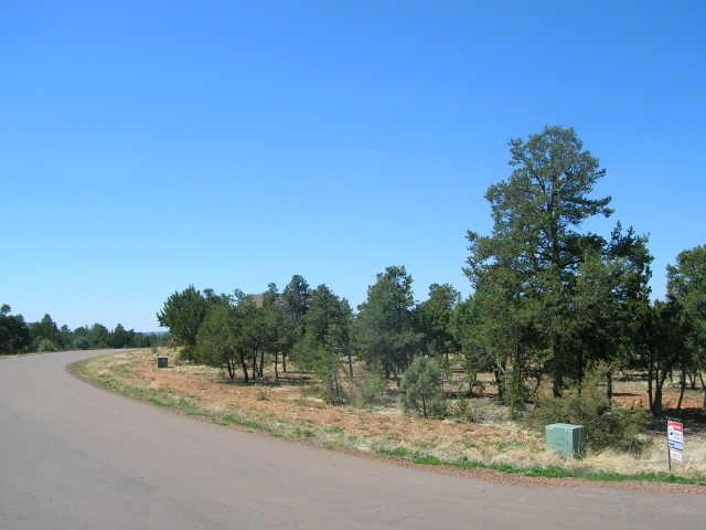 2281 Sunrise Road, Unit 360 Overgaard, AZ 85933 - Photo 3 of 6 Additional Photo