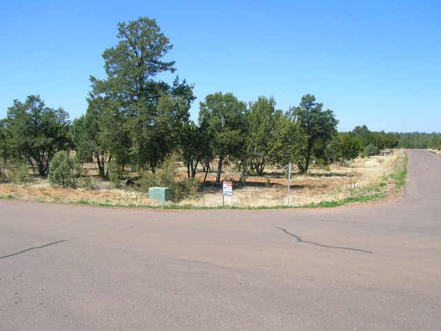 2281 Sunrise Road, Unit 360 Overgaard, AZ 85933 - Photo 4 of 6 Additional Photo