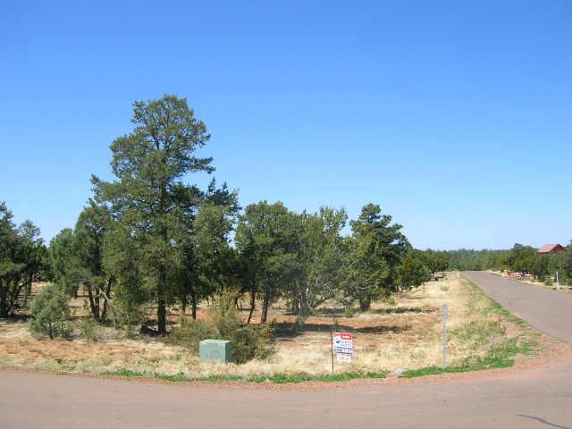 2281 Sunrise Road, Unit 360 Overgaard, AZ 85933 - Photo 5 of 6 Additional Photo