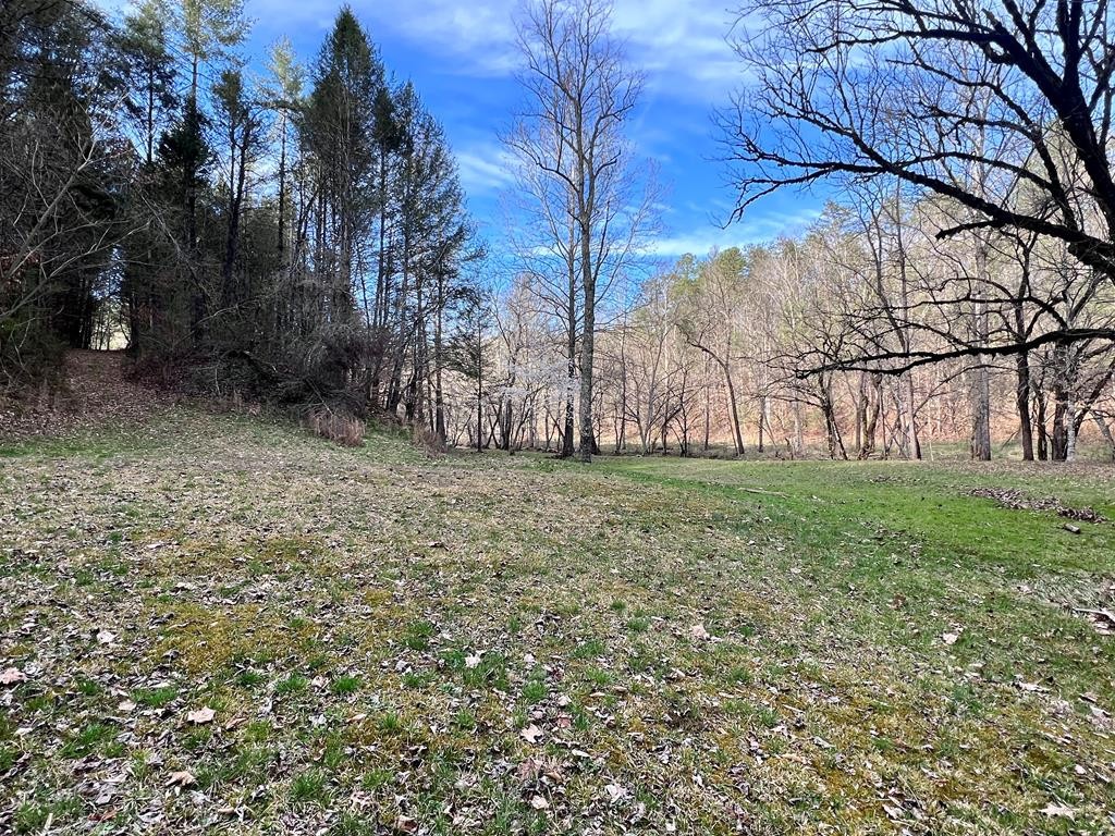3148 Russie Gap Road Sevierville, TN 37862 - Photo 43 of 63 Gallery Image 43