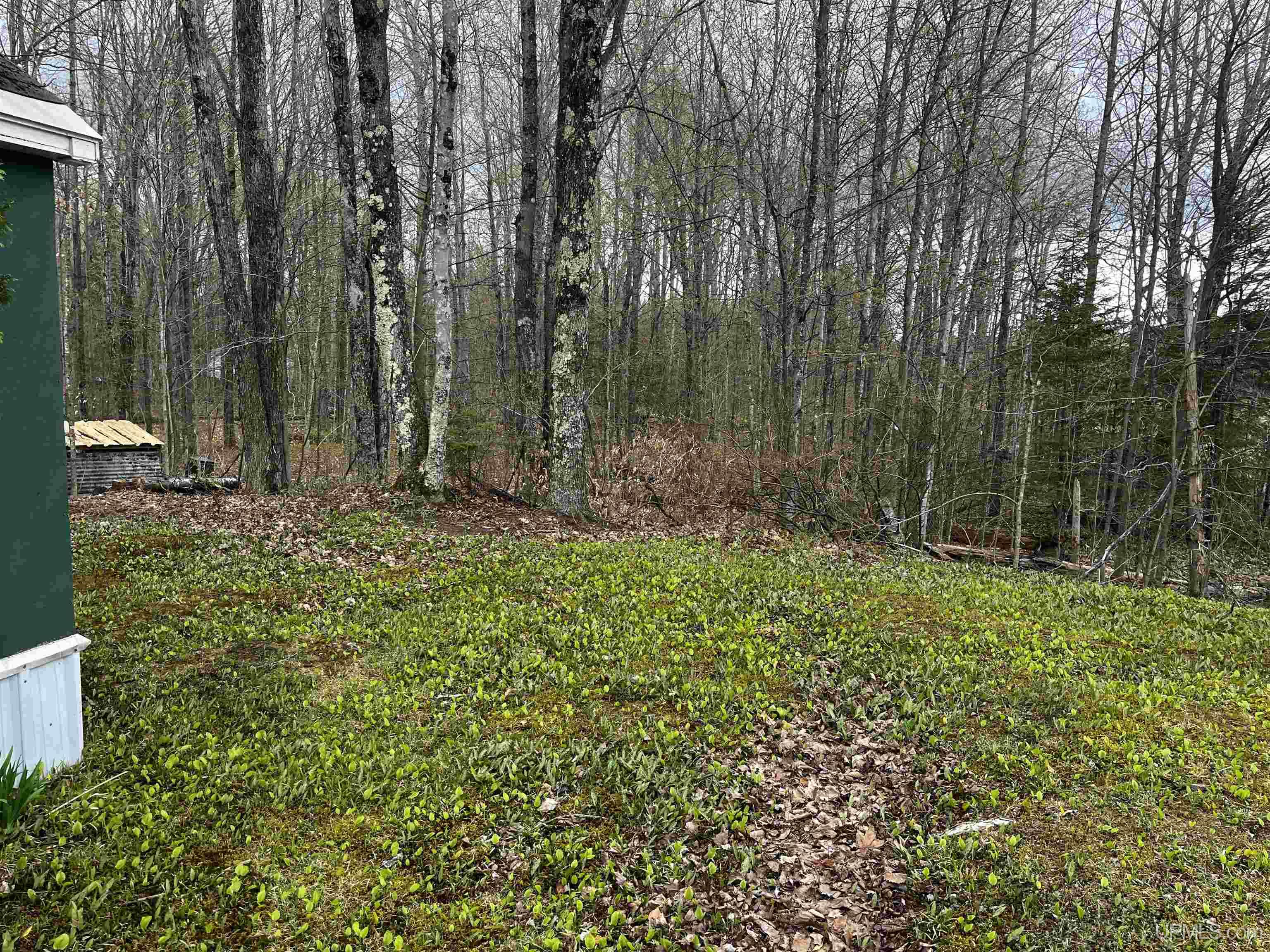 3946 East Storm Road Chatham, MI 49816 - Photo 29 of 37
