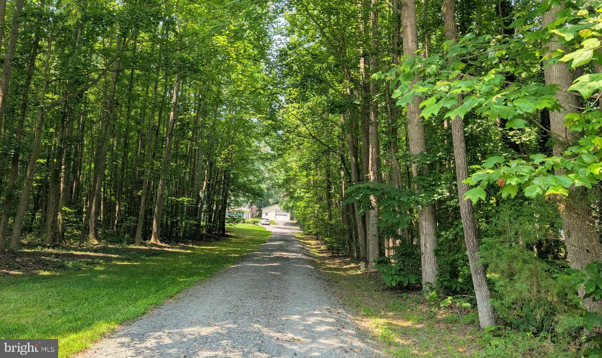 25761 Ricky Drive Hollywood, MD 20636 - Photo 3 of 41 Private Driveway under canopy of trees