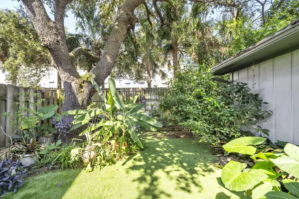 a view of a tree in a garden