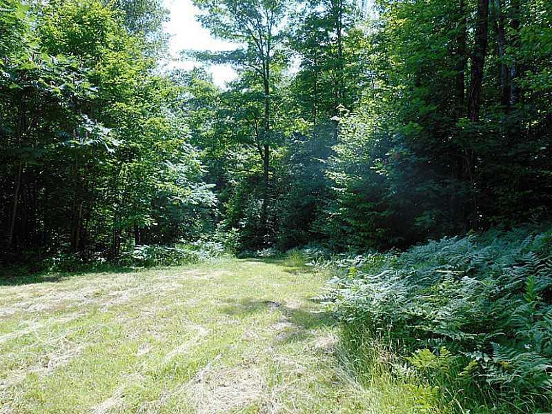 Lot 5 Reeds Mills Road Madrid Township, ME 04966 - Photo 15 of 20 Land/Lot. Driveway entering cleared...