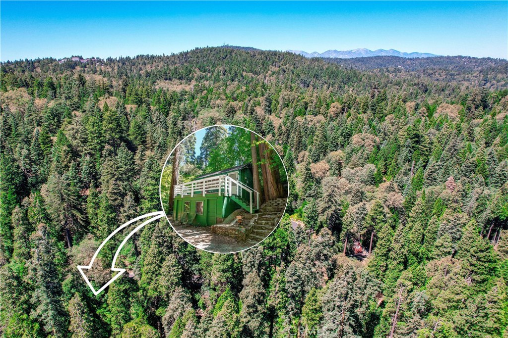 825 Cottage Grove Road Lake Arrowhead, CA 92352 - Photo 2 of 25 a view of a yard with plants and a mountain view