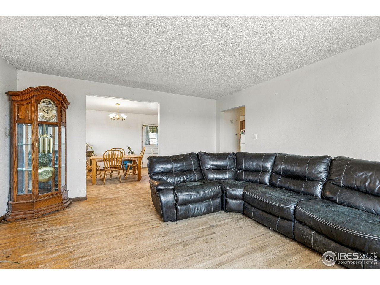 7267 County Road 23 1/2 Fort Lupton, CO 80621 - Photo 4 of 37