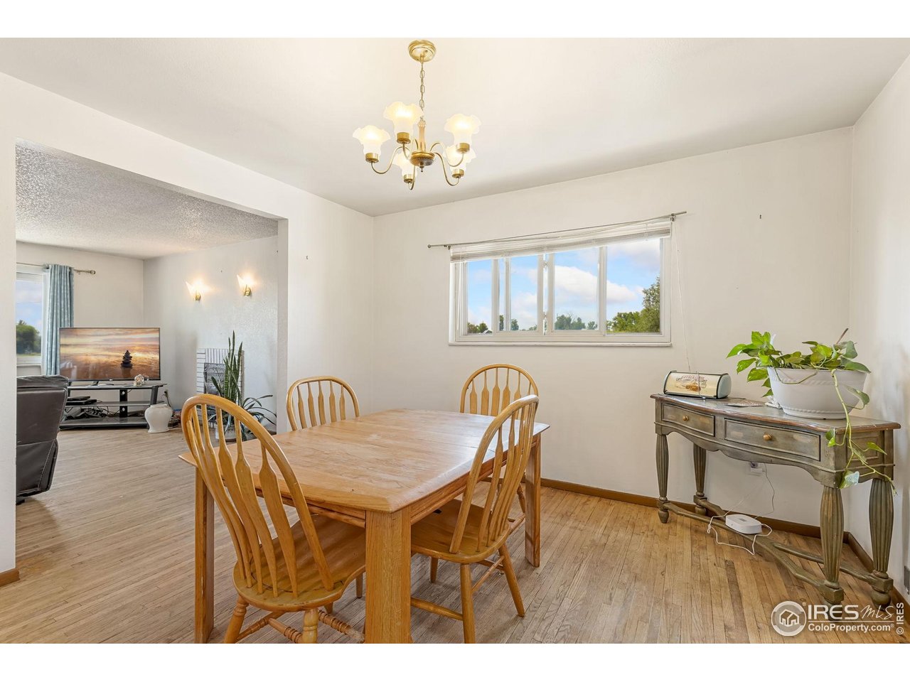 7267 County Road 23 1/2 Fort Lupton, CO 80621 - Photo 8 of 37