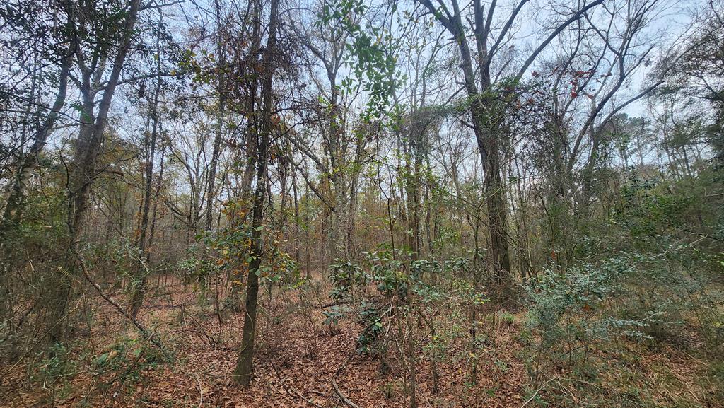 15.05 Pera Road Samson, AL 36477 - Photo 19 of 29