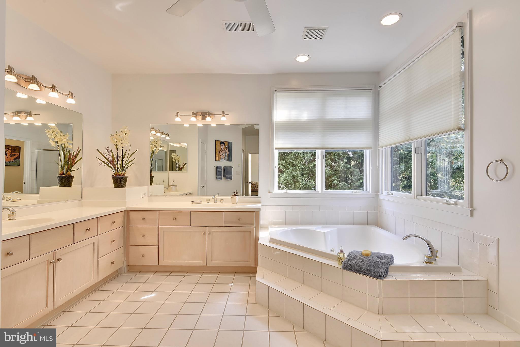 1486 Waterfront Road Reston, VA 20194 - Photo 18 of 30 Spacious Master Bedroom Bath w/Separate Shower, WC