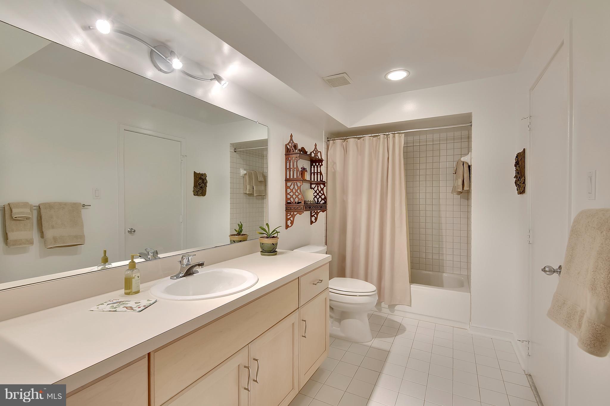 1486 Waterfront Road Reston, VA 20194 - Photo 27 of 30 Lower Level Bath